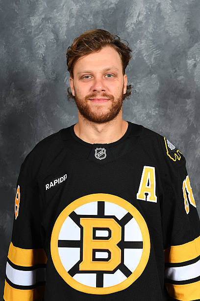 David Pastrňák